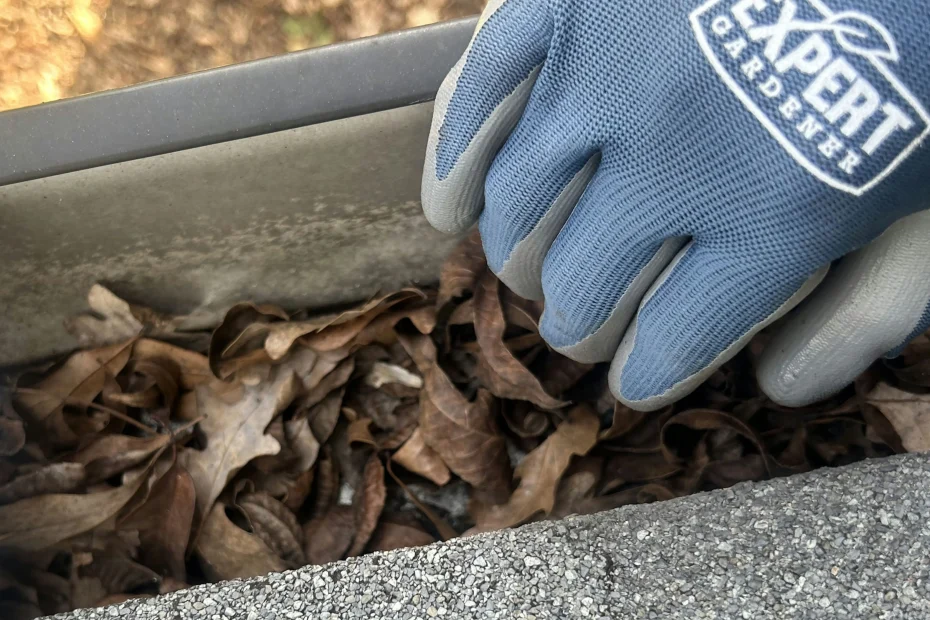 Gutter Cleaning Hillsboro Beach FL