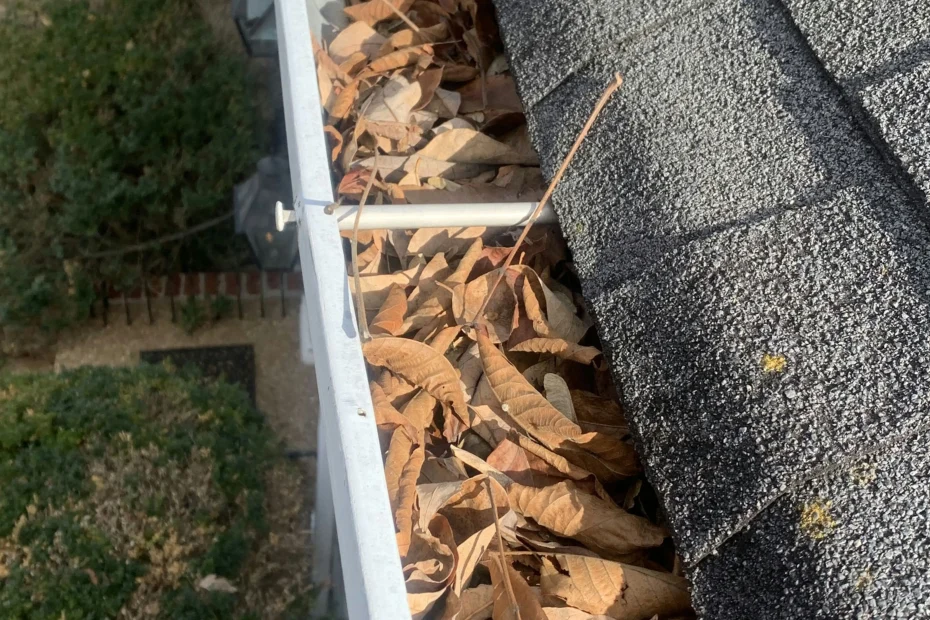 Gutter Cleaning Hillsboro Beach FL